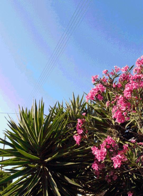 Blue Sky Appartement Chora  Buitenkant foto